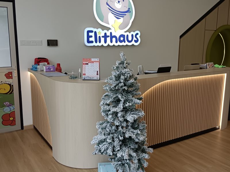 Introducing our first Finnish Experience&reg; Partner School in Johor: The Elithaus International Preschool
